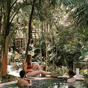 Anand Ecoaldea Puerto Morelos